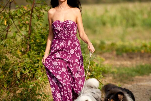 Young woman taking two collies on a walk
